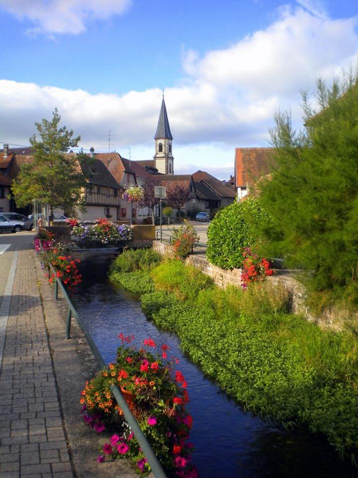 Gite le piémont des Vosges Stotzheim Extérieur photo