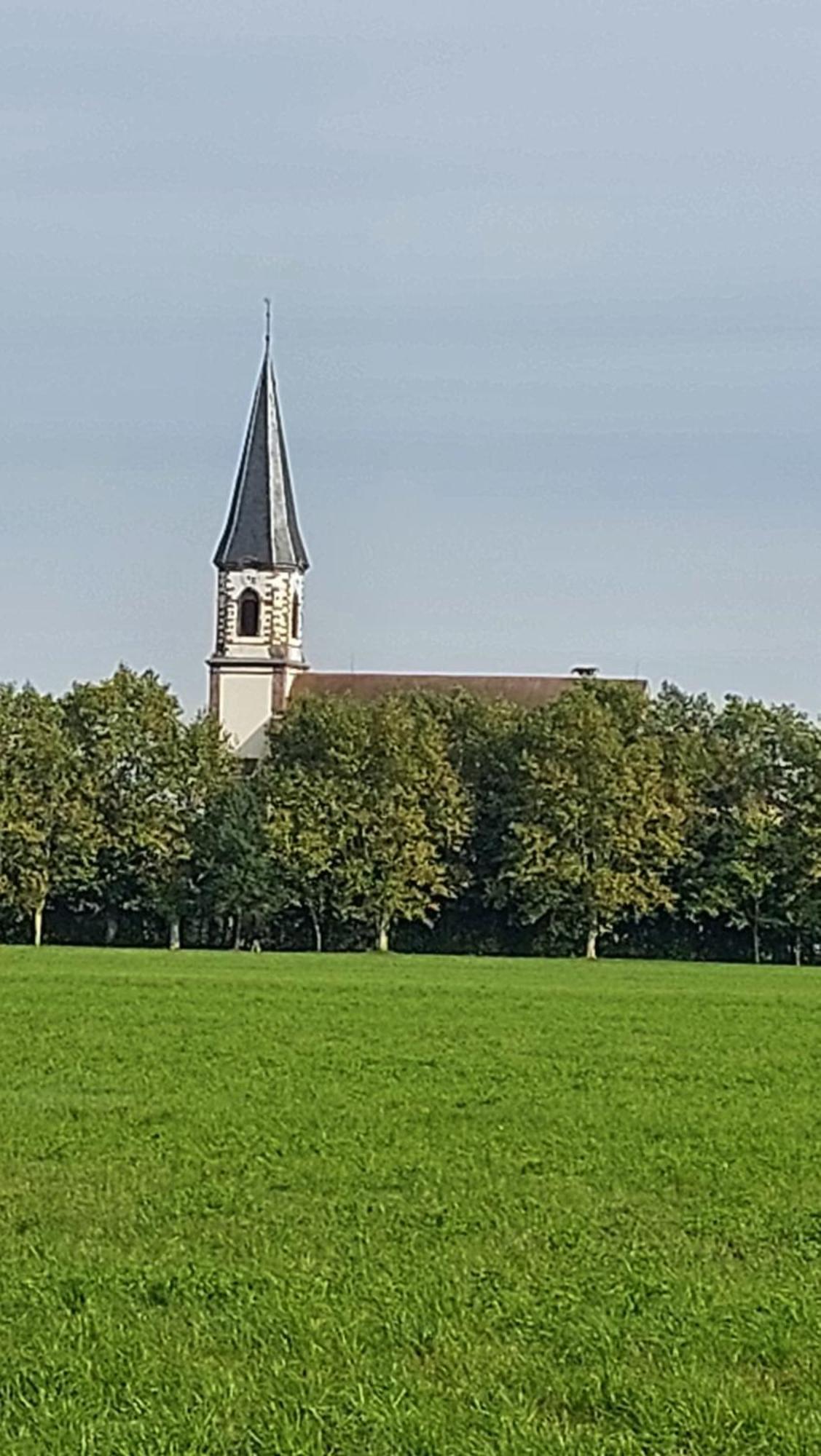 Gite le piémont des Vosges Stotzheim Extérieur photo