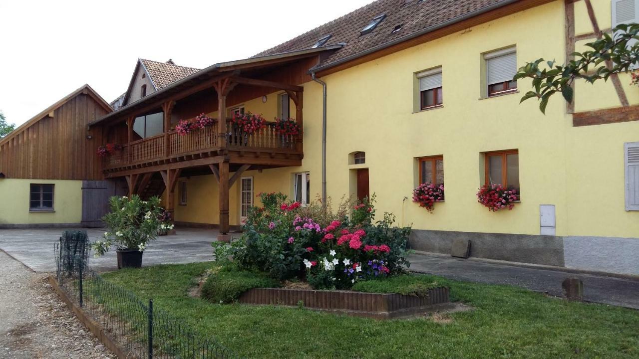 Gite le piémont des Vosges Stotzheim Extérieur photo