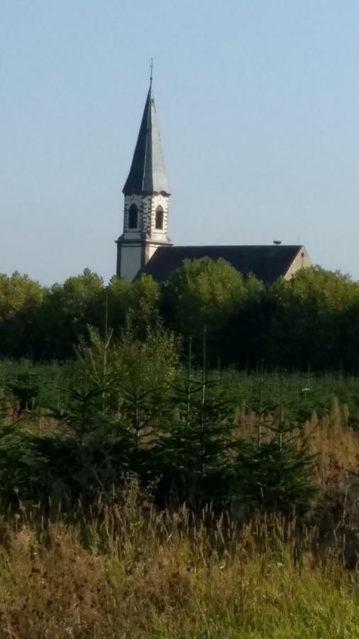 Gite le piémont des Vosges Stotzheim Extérieur photo
